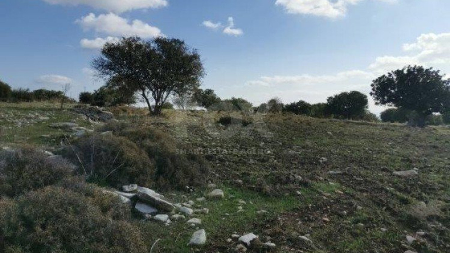 Land For Sale In Anogyra Limassol Cyprus