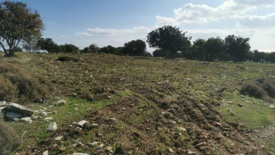 Land For Sale In Anogyra Limassol Cyprus
