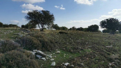 Land For Sale In Anogyra Limassol Cyprus