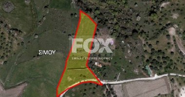 Land For Sale In Simou Paphos Cyprus
