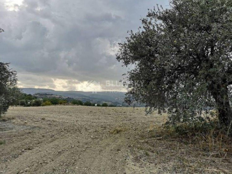 Land For Sale In Peristerona Pafou Paphos Cyprus