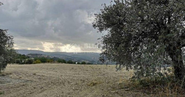 Land For Sale In Peristerona Pafou Paphos Cyprus