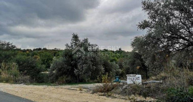 Land For Sale In Peristerona Pafou Paphos Cyprus