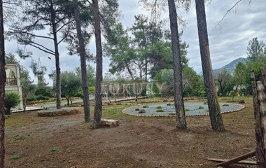 10 Bed House For Sale In Moniatis Limassol Cyprus