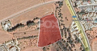 Plot For Sale In Prodromi Paphos Cyprus