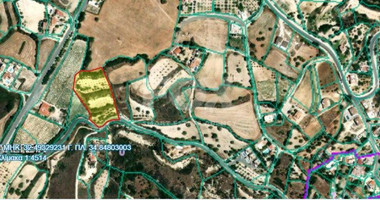 Land For Sale In Kallepeia Paphos Cyprus