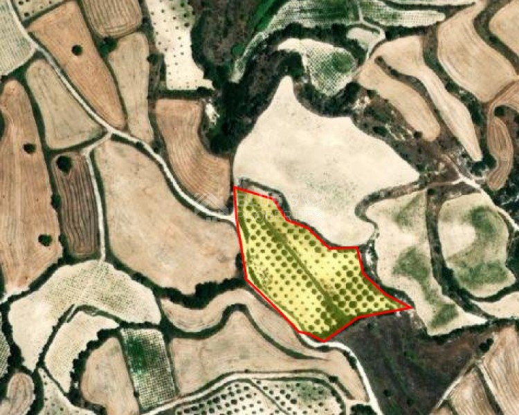 Land For Sale In Letymvou Paphos Cyprus