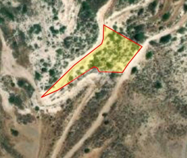 Land For Sale In Pegeia Paphos Cyprus