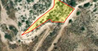 Land For Sale In Pegeia Paphos Cyprus