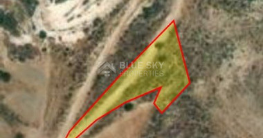 Land For Sale In Pegeia Paphos Cyprus