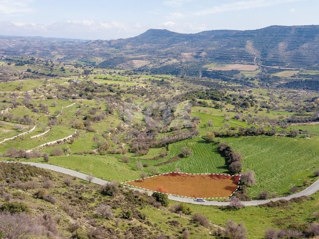 Land For Sale In Dora Limassol Cyprus