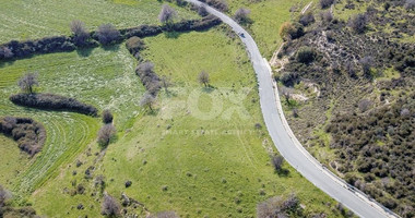 Land For Sale In Dora Limassol Cyprus