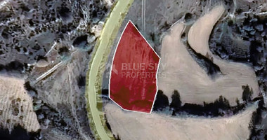 Land For Sale In Dora Limassol Cyprus