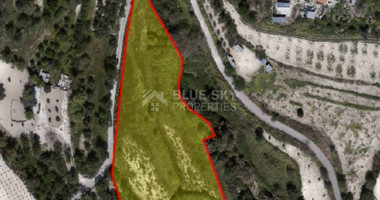 Land For Sale In Letymvou Paphos Cyprus