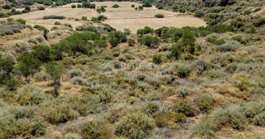 Land For Sale In Pissouri Limassol Cyprus