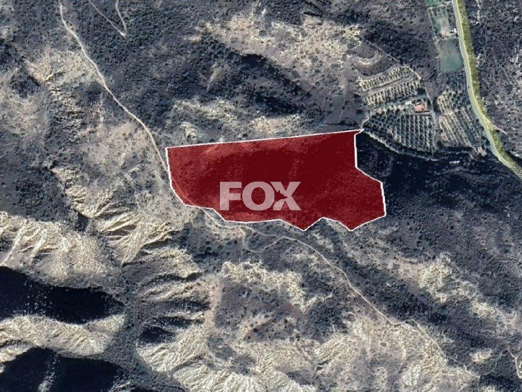 Plot of land for sale 43814 m² in Pissouri, Limassol, Cyprus