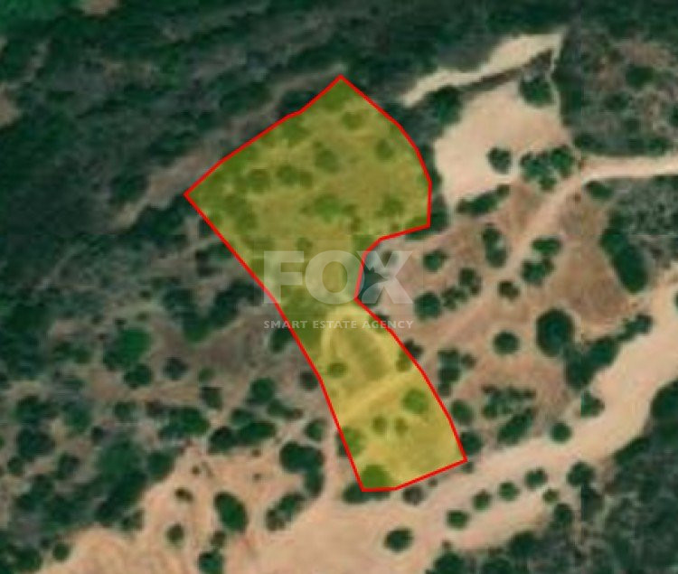 Land For Sale In Neo Chorio Pafou Paphos Cyprus