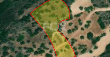 Land For Sale In Neo Chorio Pafou Paphos Cyprus