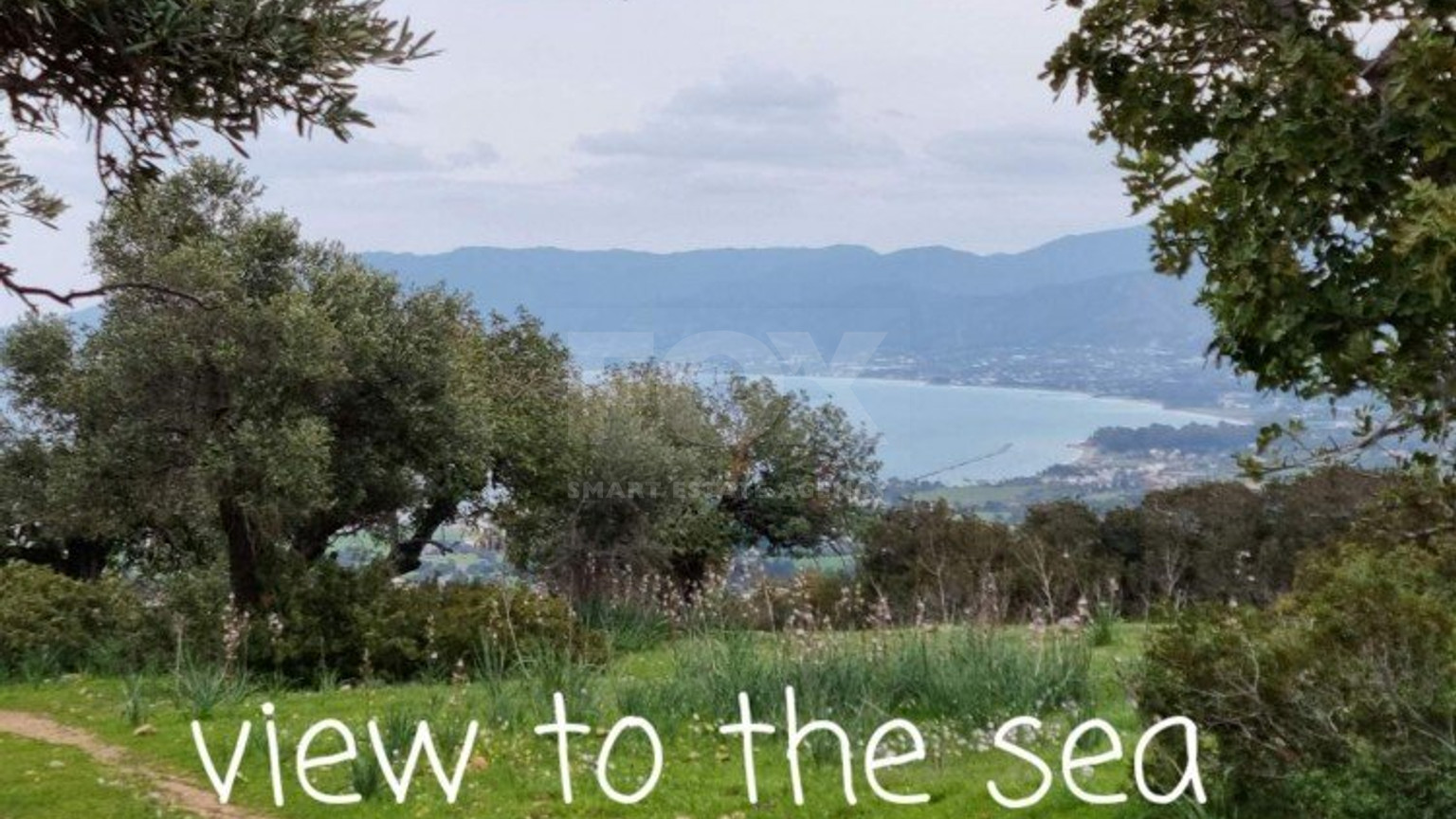 Land For Sale In Neo Chorio Pafou Paphos Cyprus