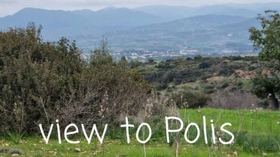 Land For Sale In Neo Chorio Pafou Paphos Cyprus