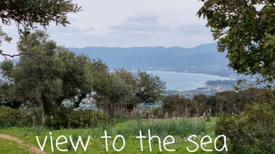 Land For Sale In Neo Chorio Pafou Paphos Cyprus