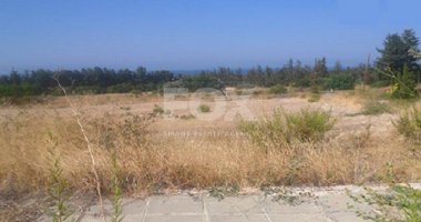 Plot For Sale In Kouklia Pafou Paphos Cyprus