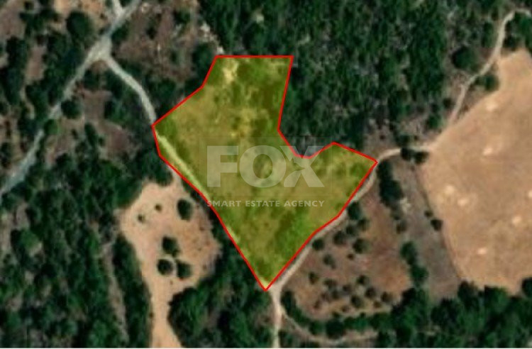 Land For Sale In Lysos Paphos Cyprus