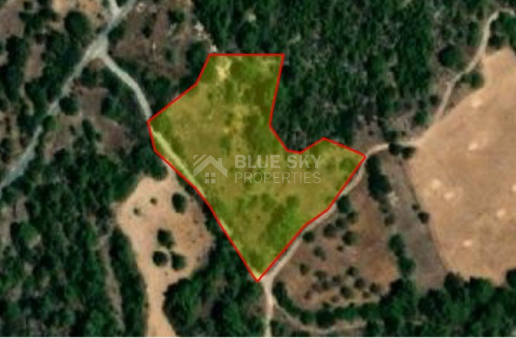 Land For Sale In Lysos Paphos Cyprus