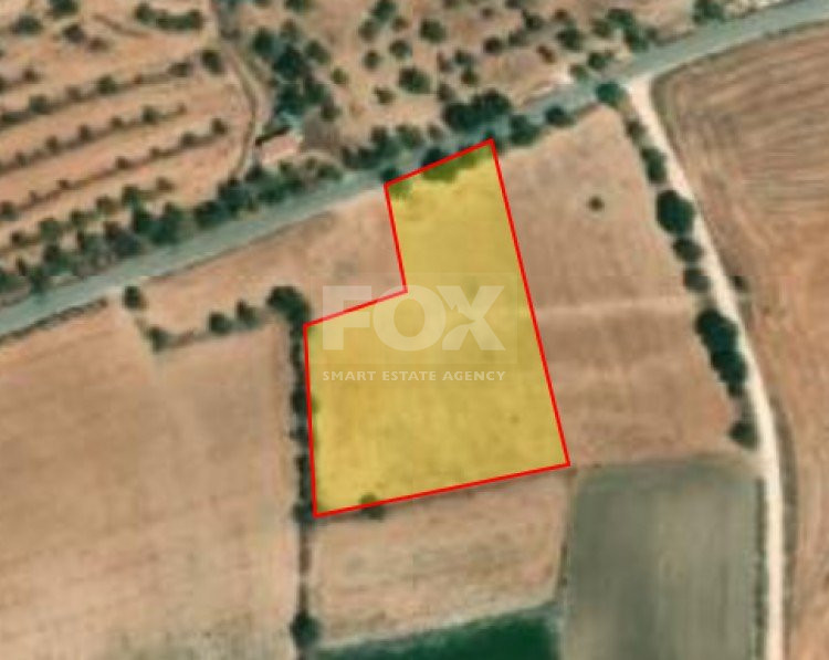 Land For Sale In Anarita Paphos Cyprus