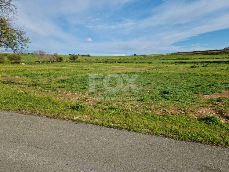 Land For Sale In Anarita Paphos Cyprus