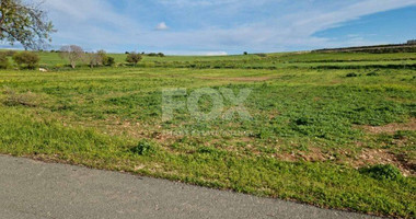 Land For Sale In Anarita Paphos Cyprus