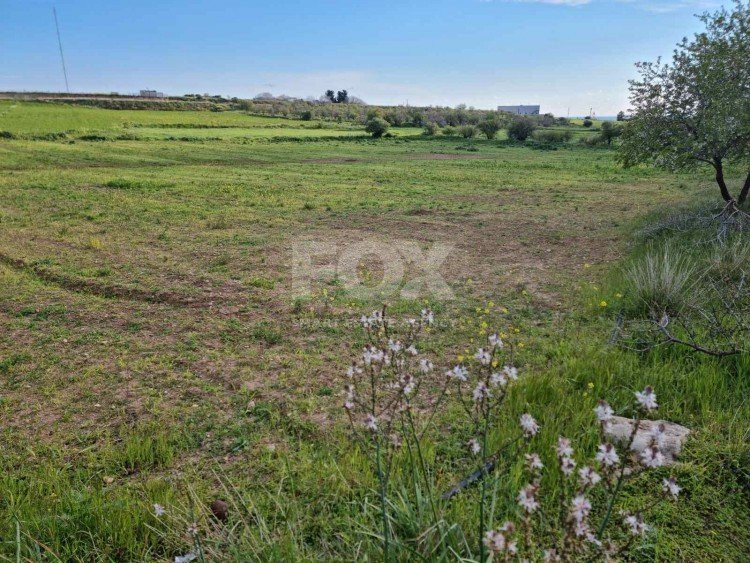 Land For Sale In Anarita Paphos Cyprus