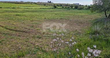 Land For Sale In Anarita Paphos Cyprus