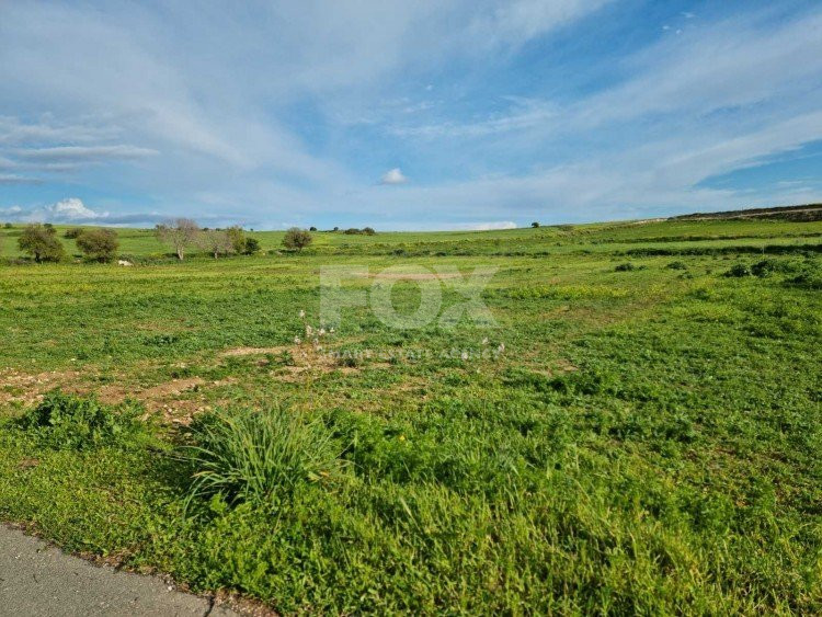 Land For Sale In Anarita Paphos Cyprus