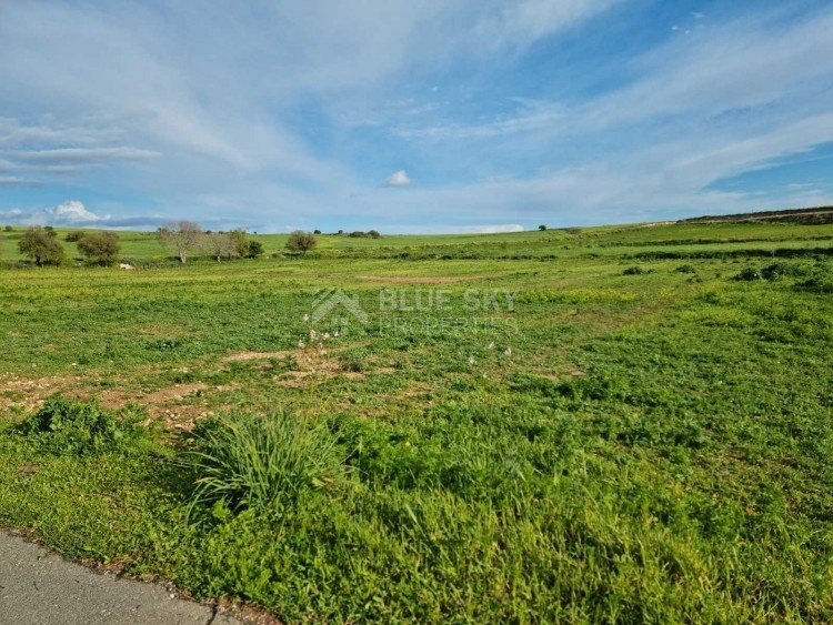 Land For Sale In Anarita Paphos Cyprus