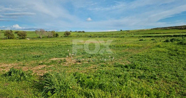 Land For Sale In Anarita Paphos Cyprus