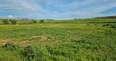 Land For Sale In Anarita Paphos Cyprus