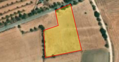 Land For Sale In Anarita Paphos Cyprus