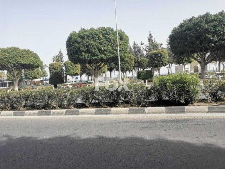 Other 250 m² for rent in Agia Trias, Limassol, Cyprus