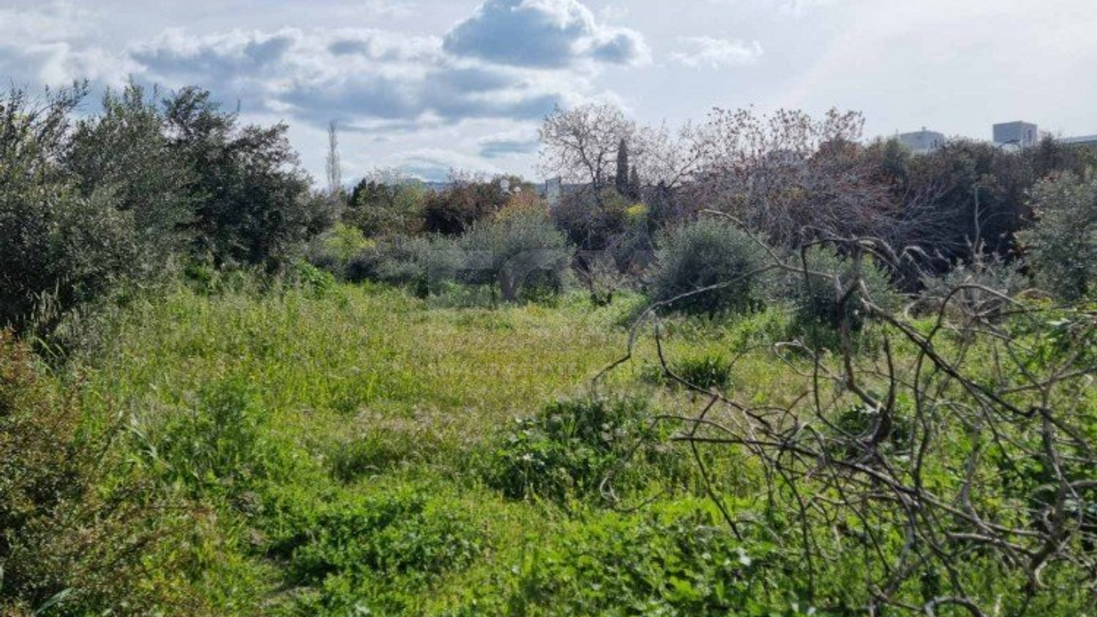 3 Bed House For Sale In Konia Paphos Cyprus