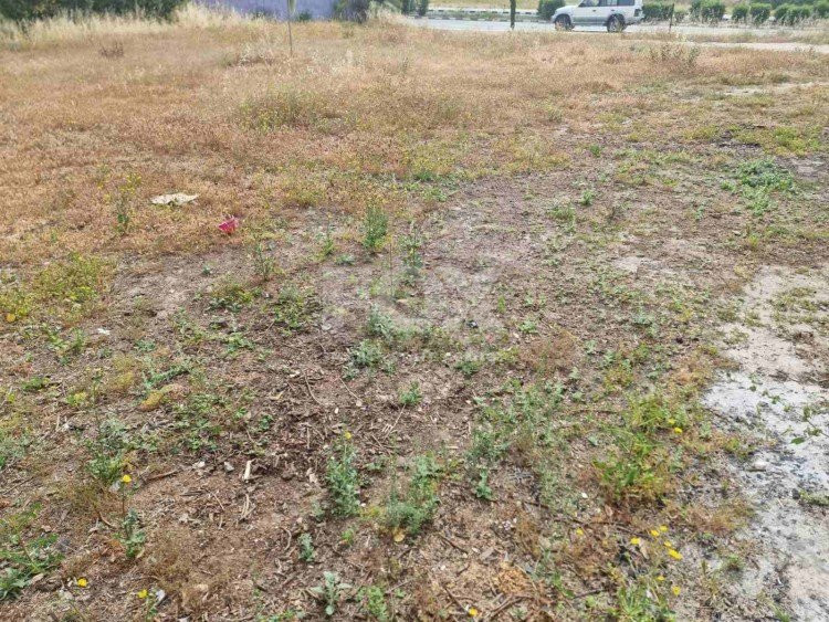 Plot For Sale In Agios Theodoros Paphos Cyprus