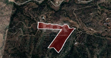 Land For Sale In Kalo Chorio Lemesou Limassol Cyprus