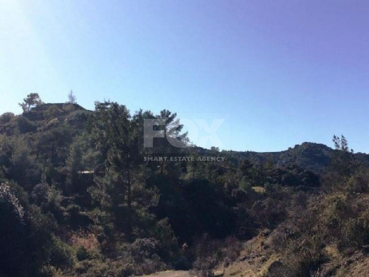 Land For Sale In Kalo Chorio Lemesou Limassol Cyprus