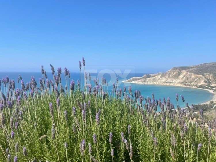Building To Rent In Pissouri Limassol Cyprus