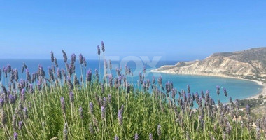 Building To Rent In Pissouri Limassol Cyprus