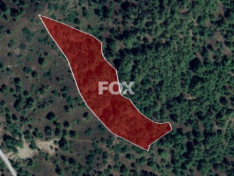 Plot of land for sale 16389 m² in Pera Pedi, Limassol, Cyprus