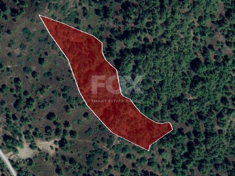 Land For Sale In Pera Pedi Limassol Cyprus