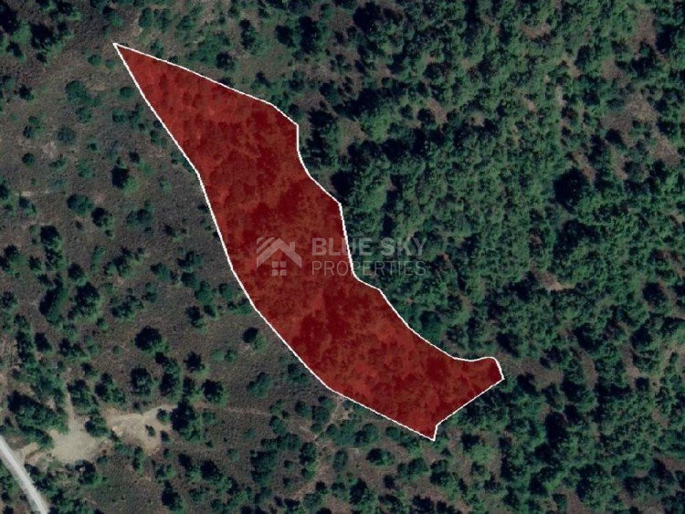 Land For Sale In Pera Pedi Limassol Cyprus