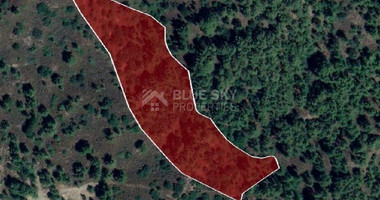 Land For Sale In Pera Pedi Limassol Cyprus