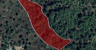 Land For Sale In Pera Pedi Limassol Cyprus